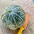 Oka Melon